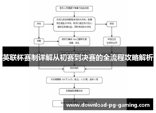 英联杯赛制详解从初赛到决赛的全流程攻略解析