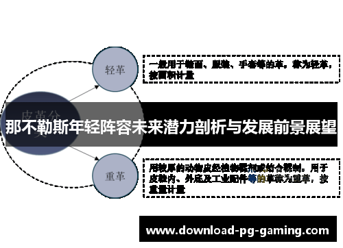 那不勒斯年轻阵容未来潜力剖析与发展前景展望